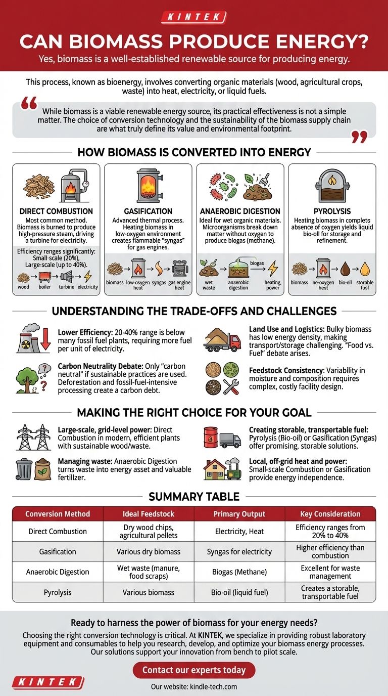 Can biomass be used to produce energy? Unlock Renewable Power from Organic Materials Visual Guide