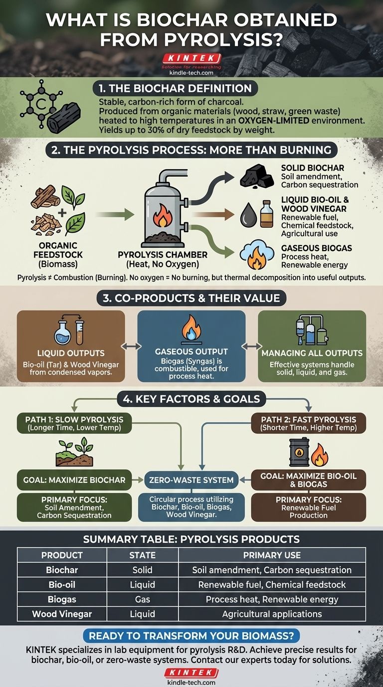 Что такое биоуголь, получаемый в результате пиролиза? Ключевой продукт переработки биомассы Визуальное руководство