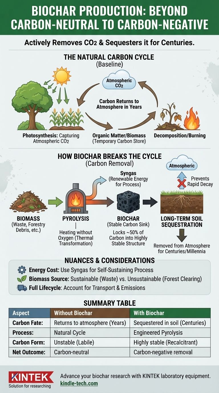 لماذا يعتبر إنتاج الفحم الحيوي عملية محايدة للكربون؟ إنه في الواقع أداة قوية لسحب الكربون دليل مرئي