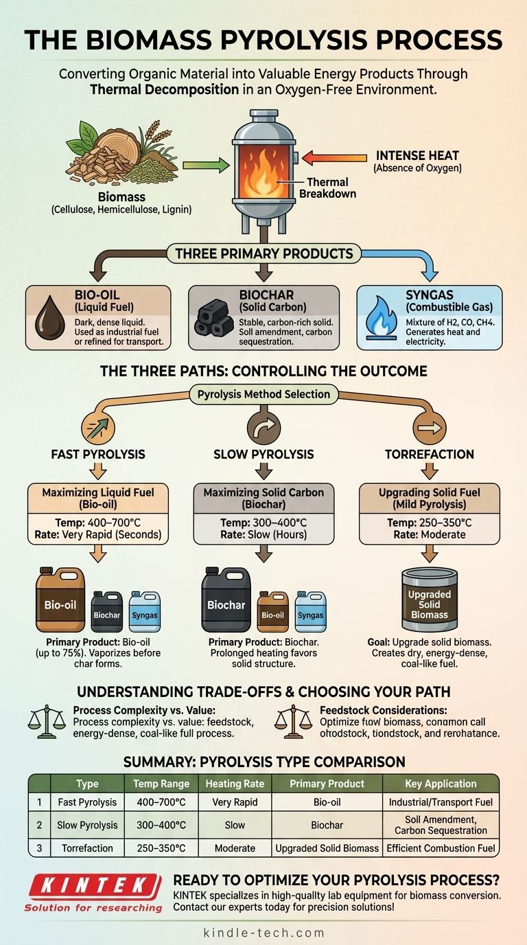 ¿Cuál es el proceso de pirólisis en la energía de biomasa? Una guía para convertir biomasa en biocombustible, biocarbón y gas de síntesis Guía Visual