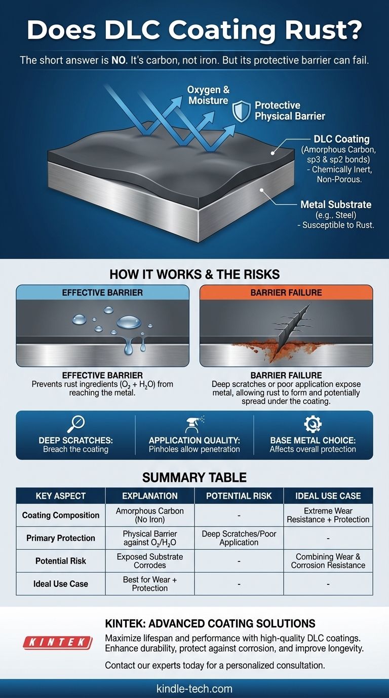 هل يصدأ طلاء DLC؟ اكتشف مقاومة فائقة للتآكل والصدأ دليل مرئي