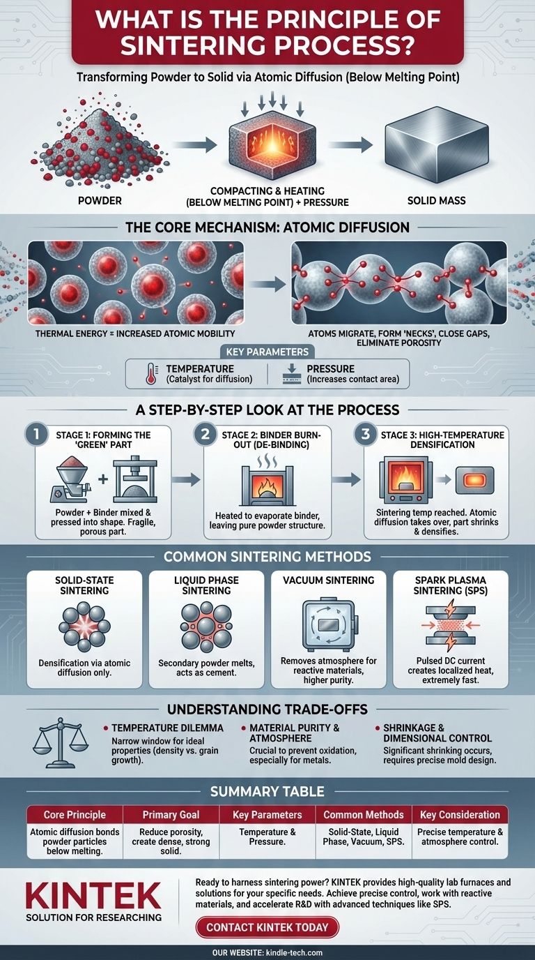 Quel est le principe du processus de frittage ? Transformer la poudre en solides haute performance Guide Visuel