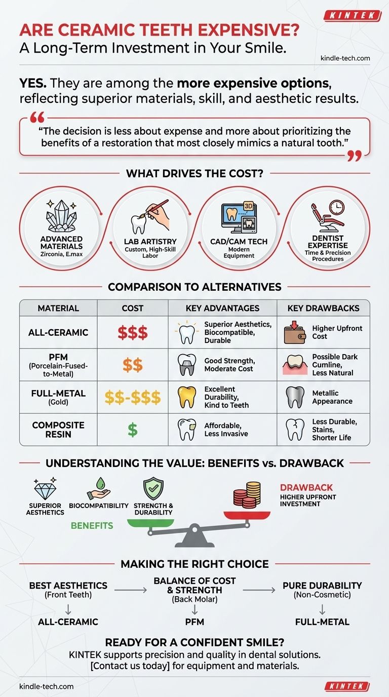 세라믹 치아는 비싼가요? 자연스러운 외관과 내구성을 갖춘 치과 보철물에 투자하기 시각적 가이드