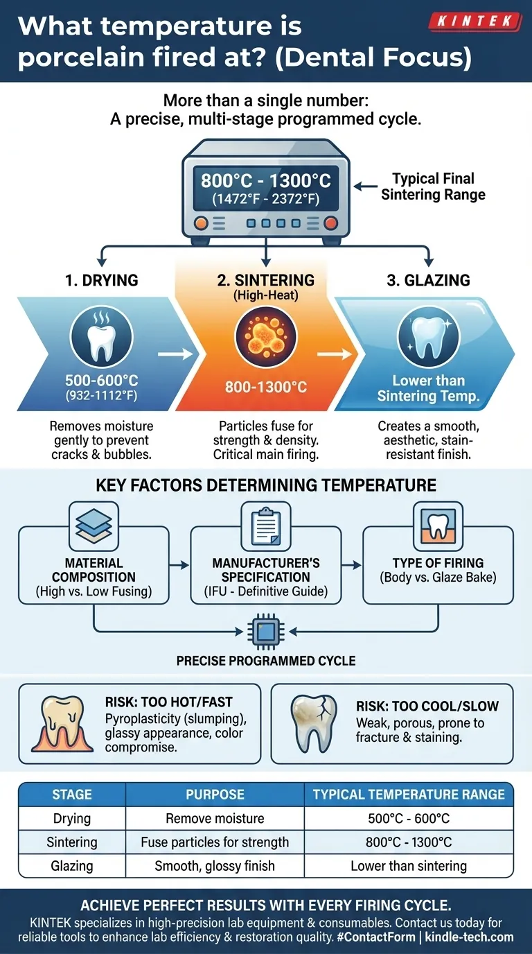 Qual a temperatura de queima da porcelana? Um Guia para Ciclos de Queima Dentária de Precisão Guia Visual