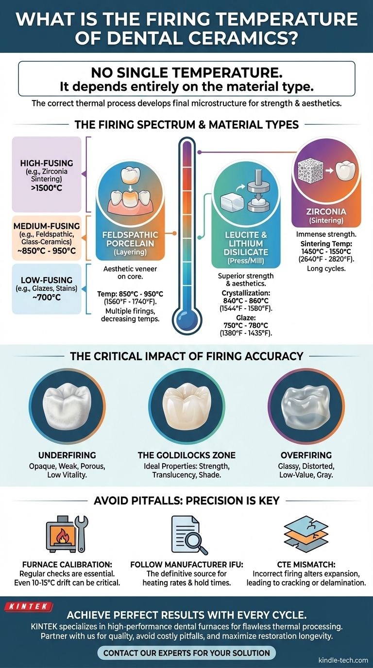 치과용 세라믹의 소성 온도는 얼마입니까? 정밀한 열처리 가이드 시각적 가이드