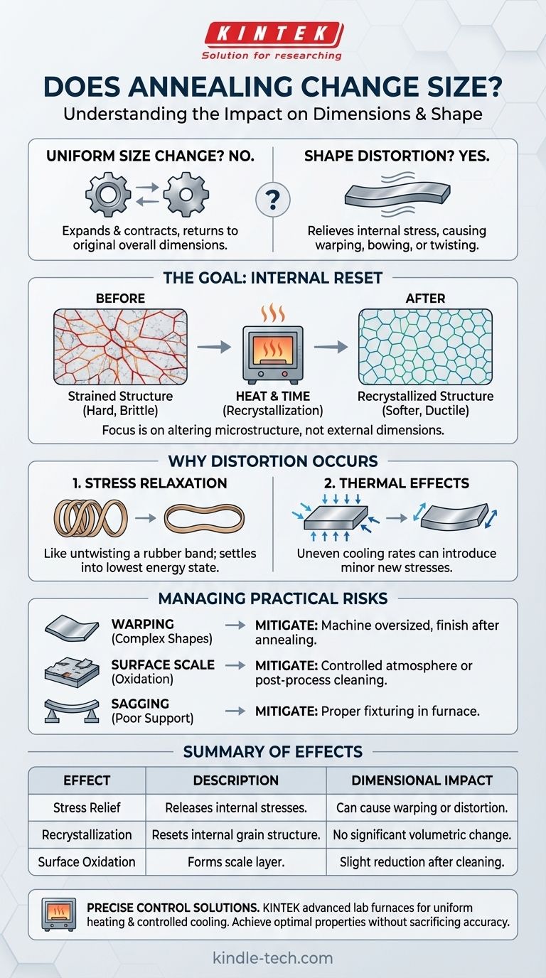 어닐링(Annealing)이 크기를 변화시키나요? 열처리 시 치수 안정성에 대한 진실 시각적 가이드