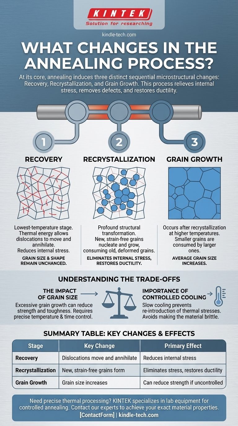焼鈍プロセスで何が変わるのか？3つの主要な微細構造段階ガイド ビジュアルガイド