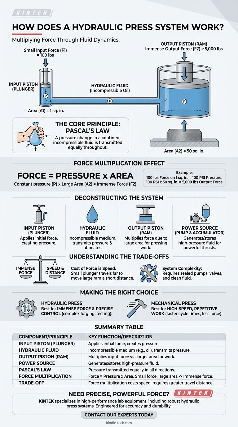 How does a hydraulic press system work? Unlock the Power of Force Multiplication Visual Guide