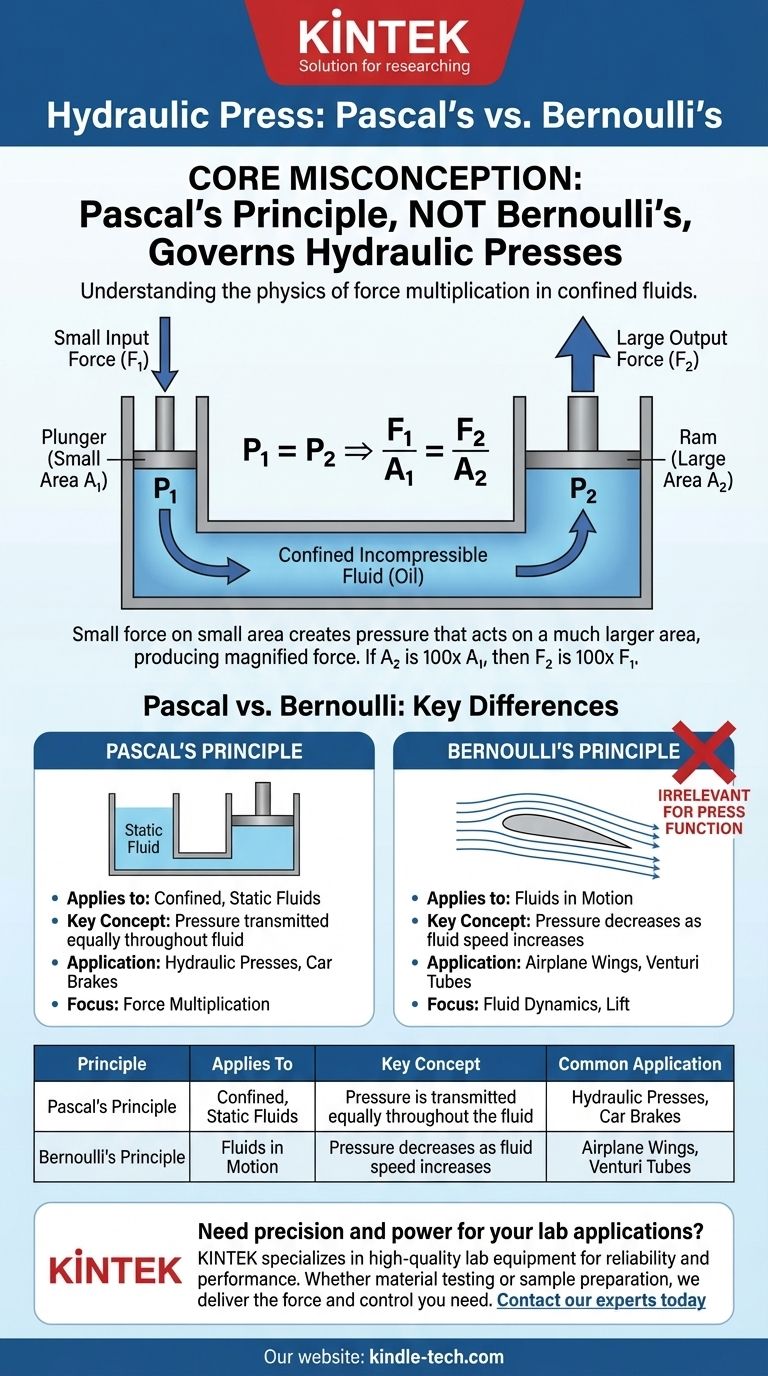 Cos'è il principio di Bernoulli della pressa idraulica? In realtà è la legge di Pascal che la alimenta Guida Visiva