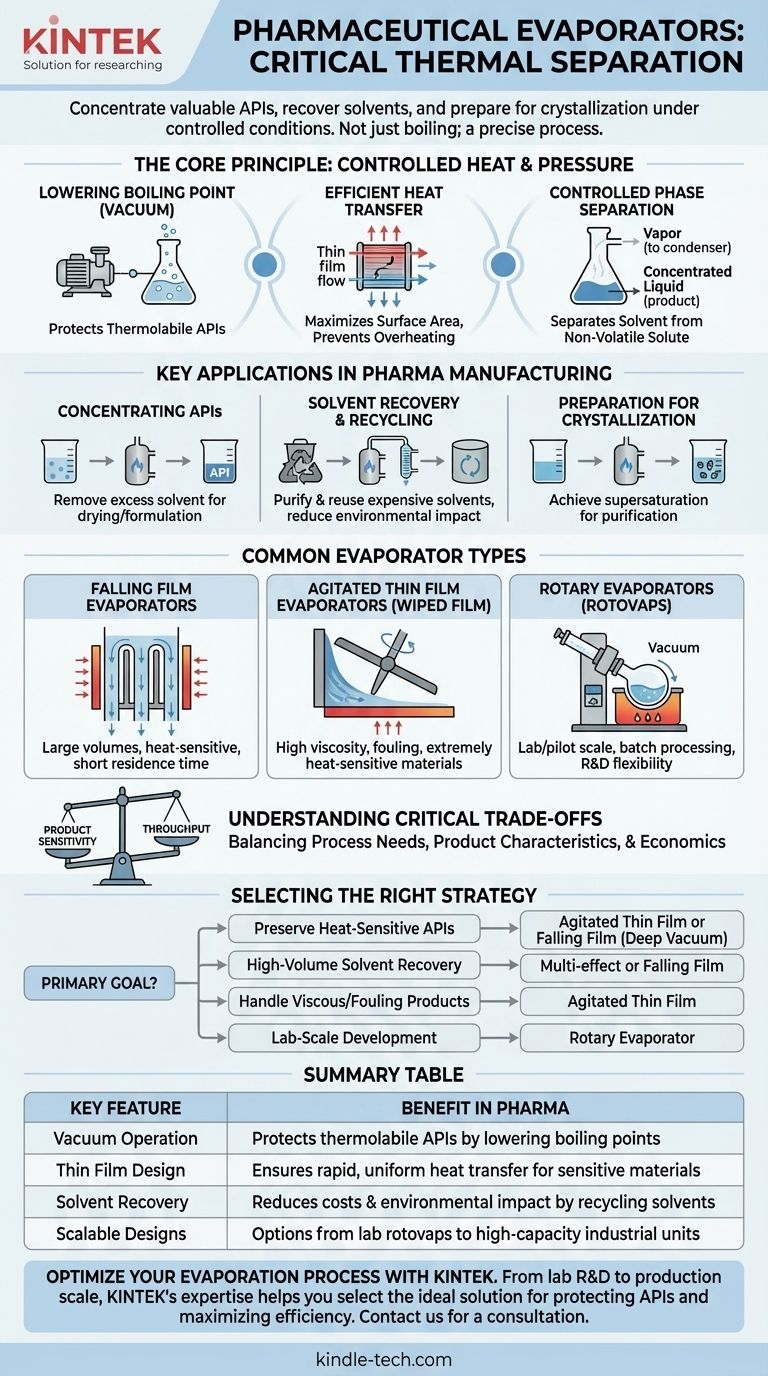 A cosa serve l'evaporatore nell'industria farmaceutica? Una guida alla concentrazione degli API e al recupero dei solventi Guida Visiva