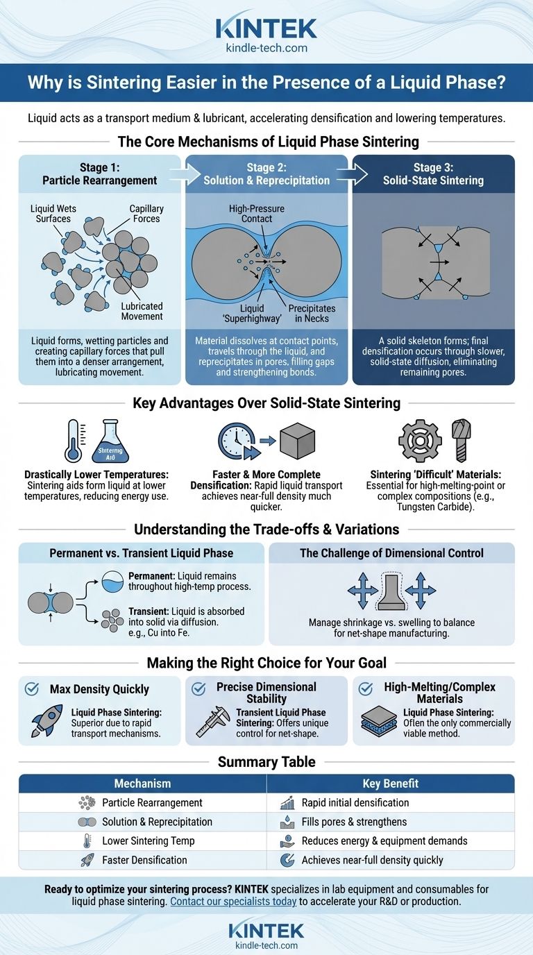 액상 존재 시 소결이 더 쉬운 이유는 무엇인가요? 더 빠르고 낮은 온도에서 밀도화 잠금 해제 시각적 가이드