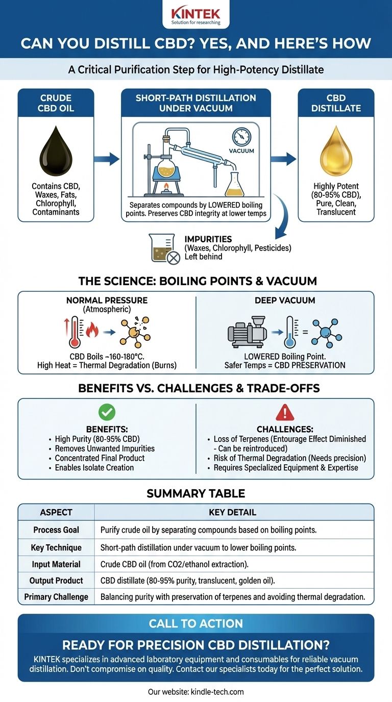 Kann man CBD destillieren? Meistern Sie die Kunst der hochreinen CBD-Raffination Visuelle Anleitung
