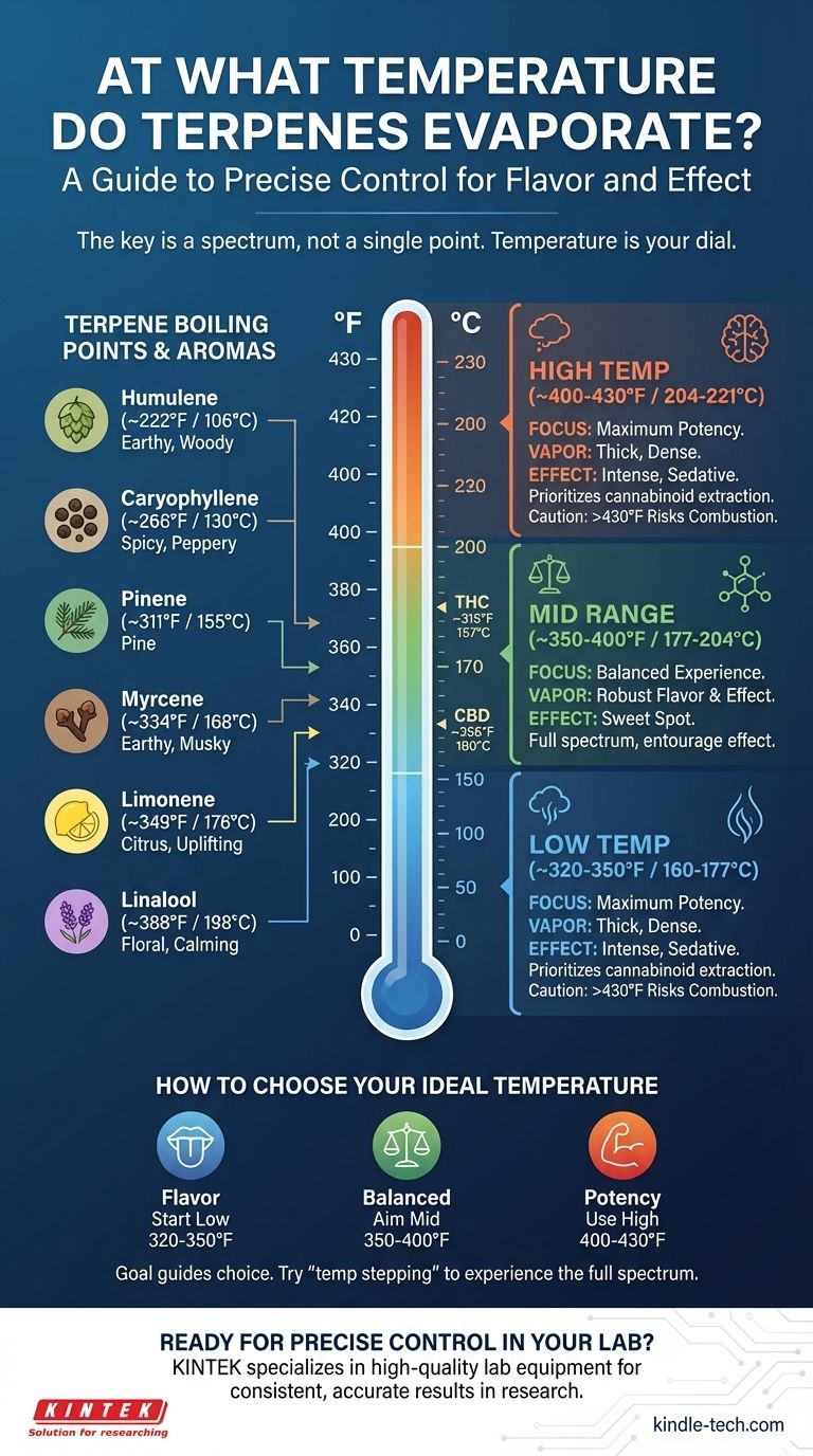 At what temperature do terpenes evaporate? Unlock the Full Flavor and Effects of Your Cannabis Visual Guide