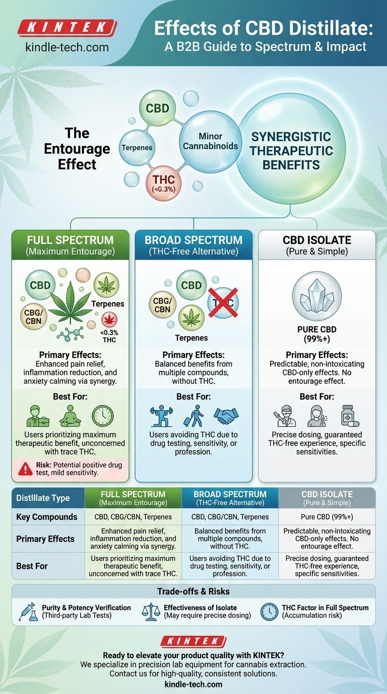 ¿Cuáles son los efectos del destilado de CBD? Una guía sobre los efectos del espectro completo, amplio y aislado Guía Visual
