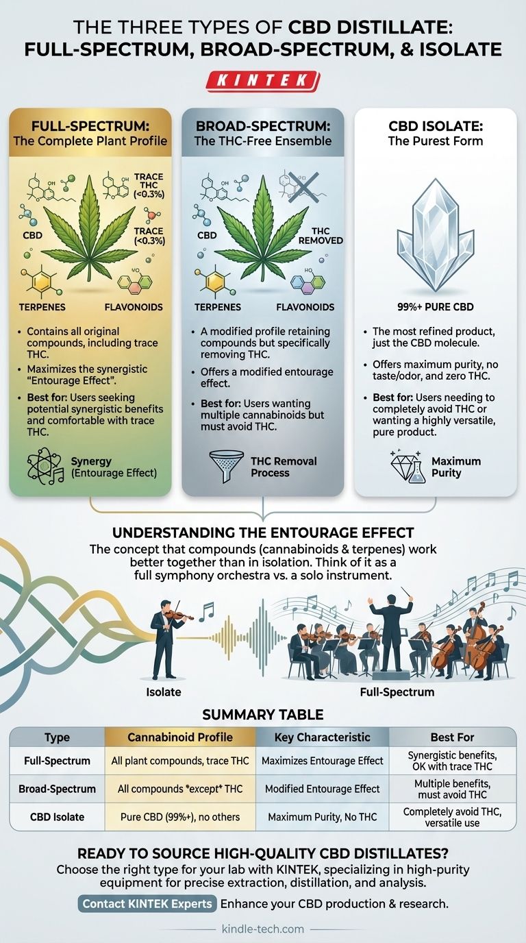 What are the different types of CBD distillate? Full-Spectrum vs. Broad-Spectrum vs. Isolate Visual Guide