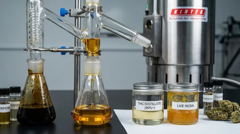 هل تقطير رباعي هيدروكانابينول (THC) أفضل؟ اكتشف إيجابيات وسلبيات الفعالية النقية مقابل تأثيرات الطيف الكامل