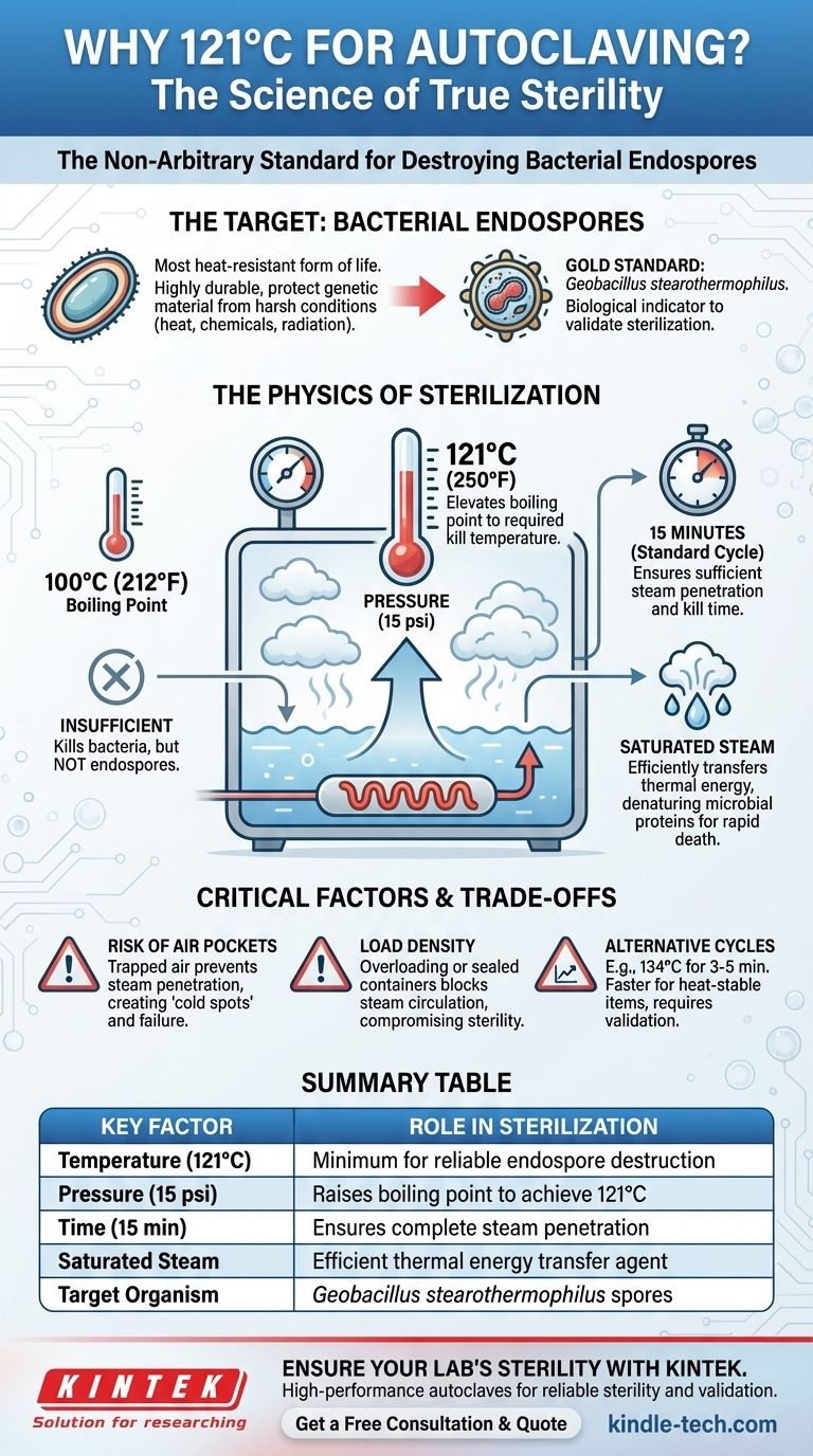 ¿Por qué esterilizamos en autoclave a 121 grados Celsius? La ciencia detrás de la esterilización Guía Visual