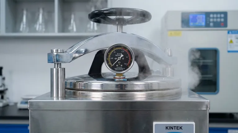 Почему мы автоклавируем при 121 градусе Цельсия? Наука, стоящая за стерилизацией