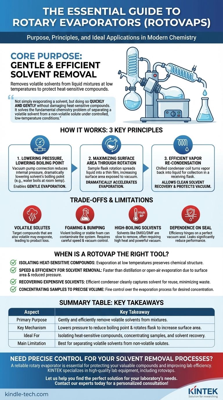 What is the purpose of a rotavap? Achieve Gentle, Efficient Solvent Removal for Your Lab Visual Guide