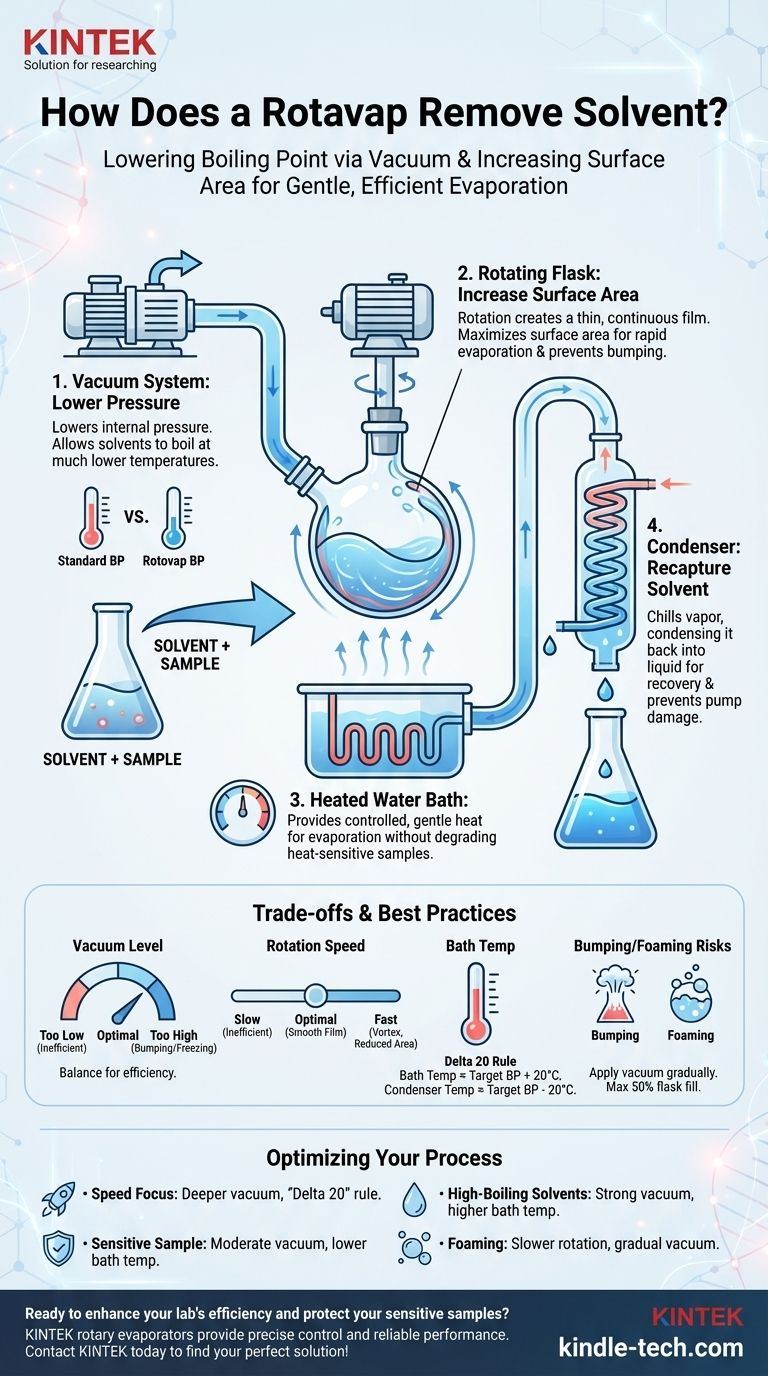 Wie funktioniert ein Rotavapor, um das Lösungsmittel zu entfernen? Meisterhafte, sanfte und effiziente Lösungsmittelverdampfung Visuelle Anleitung