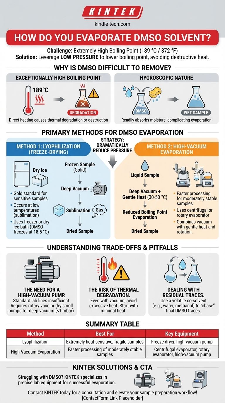 كيف تبخر مذيب DMSO؟ أتقن تقنيات التفريغ العالي اللطيفة للعينات الحساسة دليل مرئي