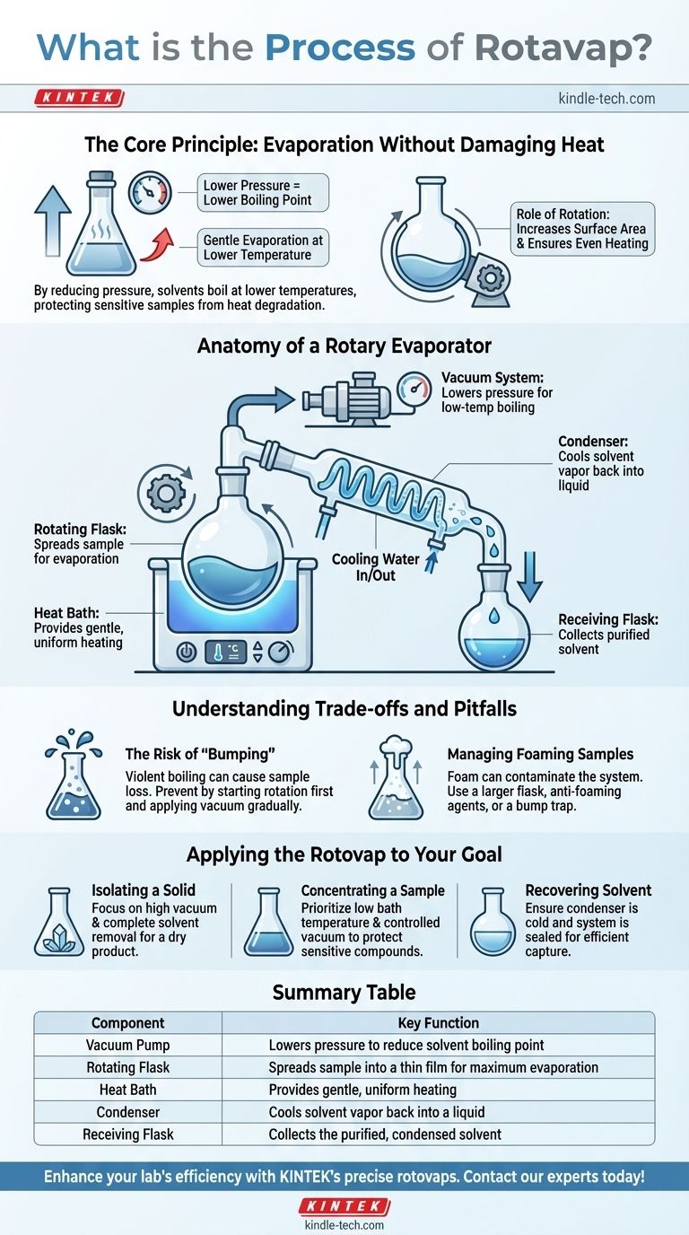 What is the process of rotavap? Master Efficient, Low-Temperature Solvent Evaporation Visual Guide