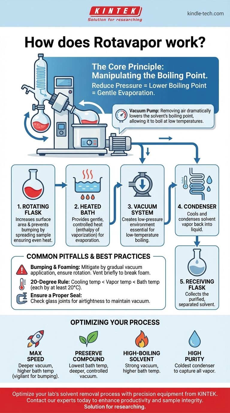 ロータリーエバポレーターはどのように機能しますか？穏やかで低温の溶媒蒸発をマスターする ビジュアルガイド