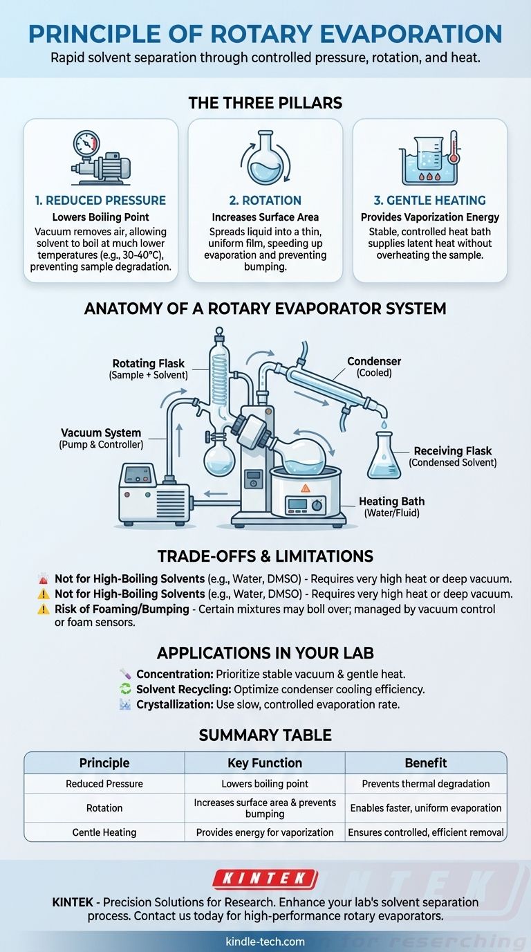 What is the principle of rota evaporation? A Guide to Gentle, Efficient Solvent Separation Visual Guide