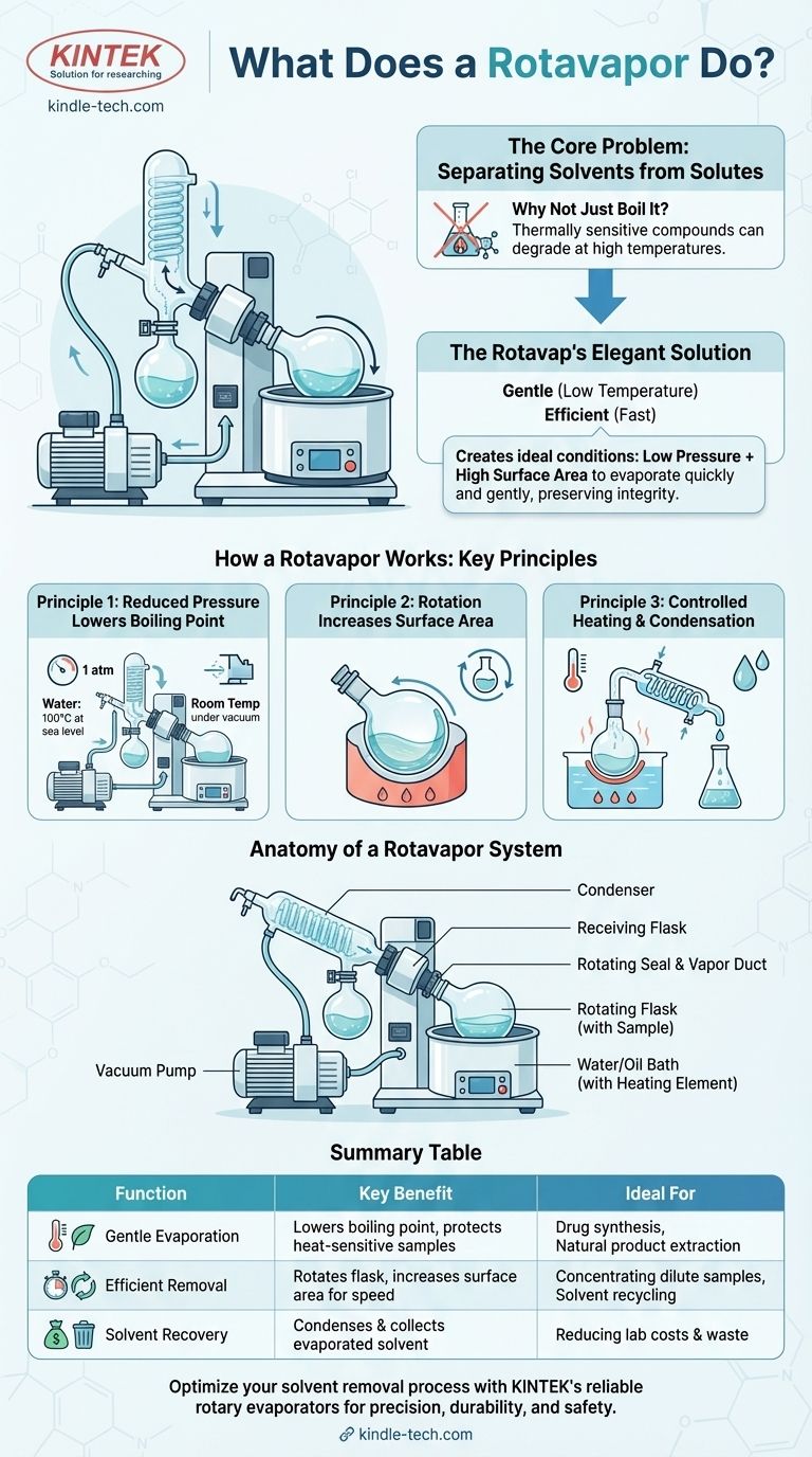 로타베이퍼는 무엇을 하나요? 실험실에서 부드럽고 효율적인 용매 제거를 달성하세요 시각적 가이드