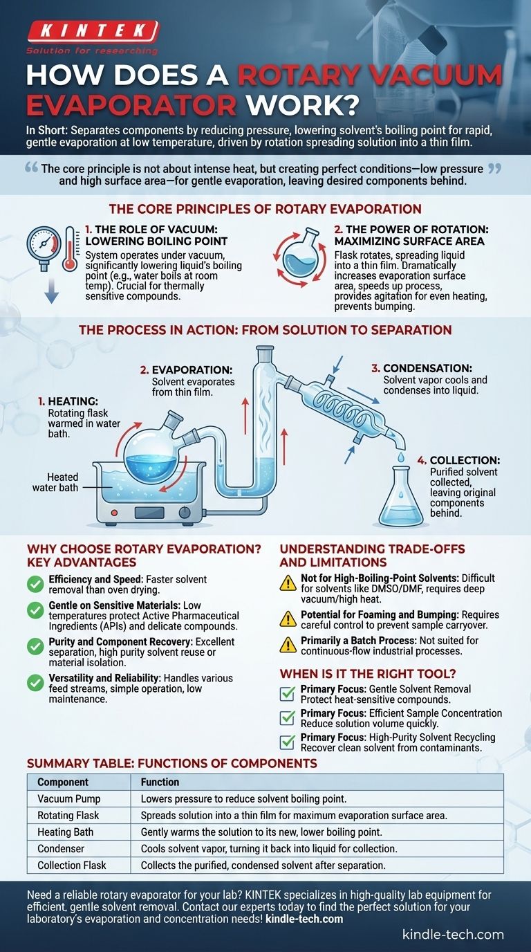 ロータリーエバポレーターはどのように機能しますか？穏やかで効率的な溶媒除去の仕組みを解説 ビジュアルガイド