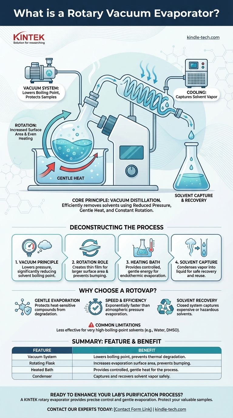 ロータリー真空エバポレーターとは？穏やかで効率的な溶媒除去ガイド ビジュアルガイド