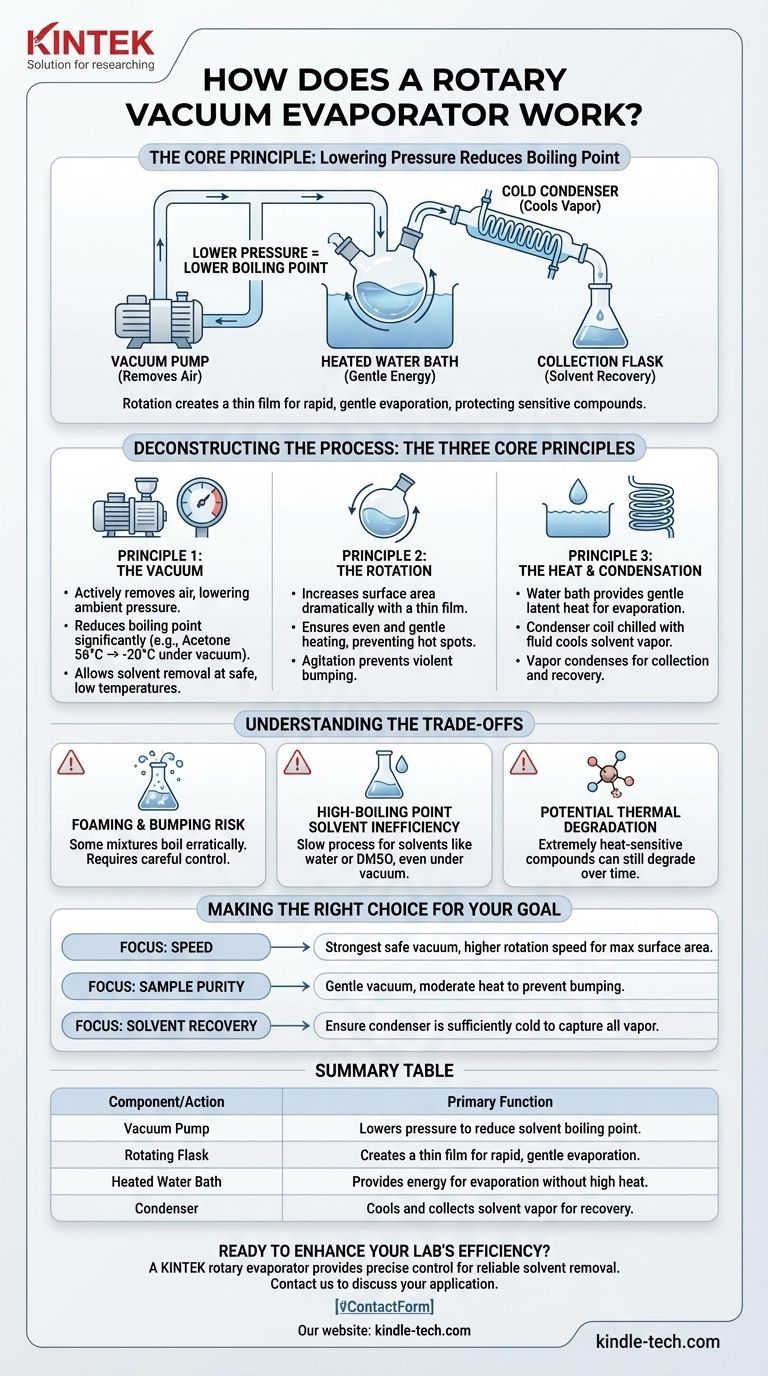 ¿Cómo funciona un evaporador rotatorio al vacío? Una guía para la eliminación suave y eficiente de disolventes Guía Visual