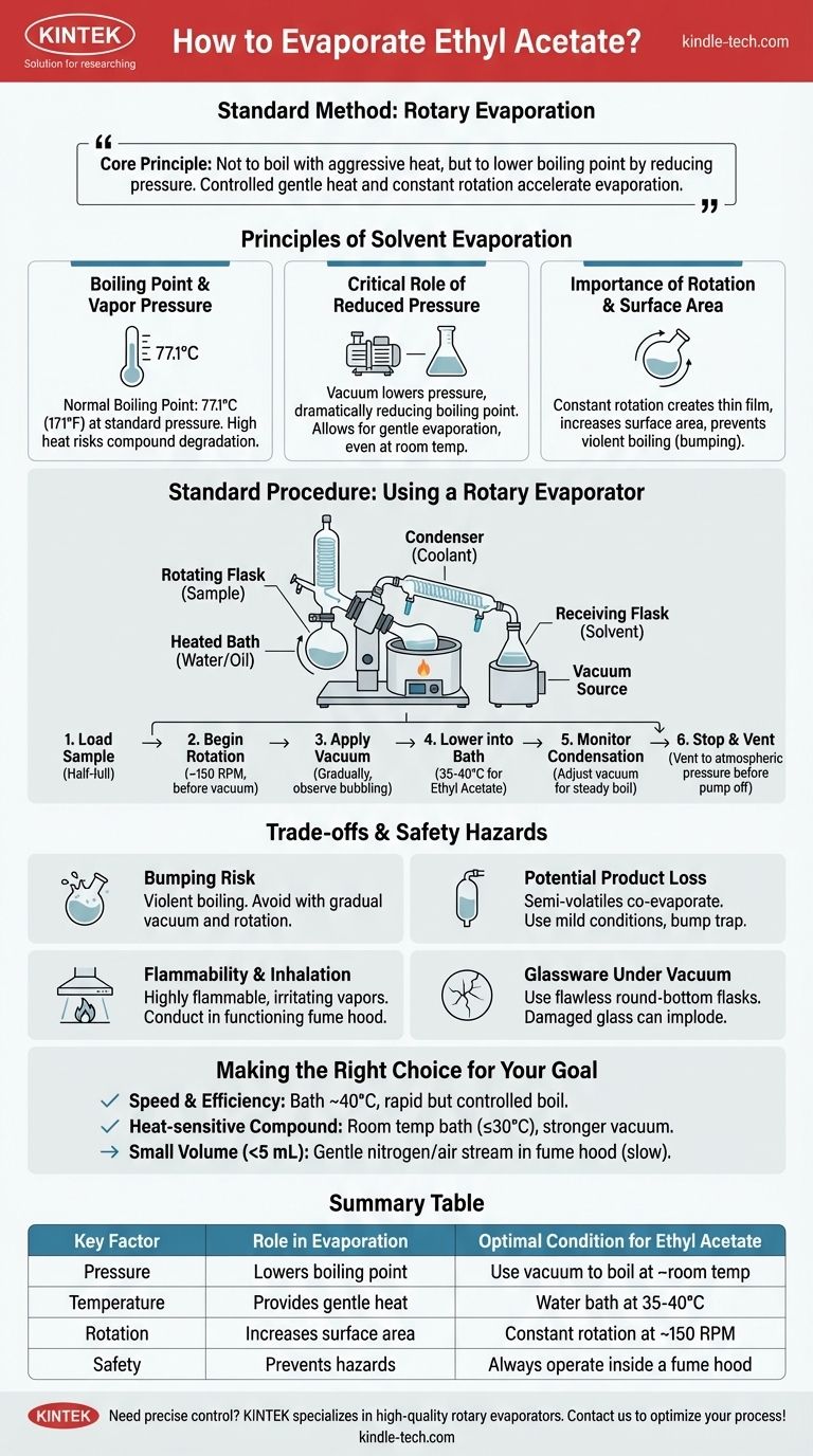 How do you evaporate ethyl acetate? Master Safe & Efficient Solvent Removal with Rotary Evaporation Visual Guide