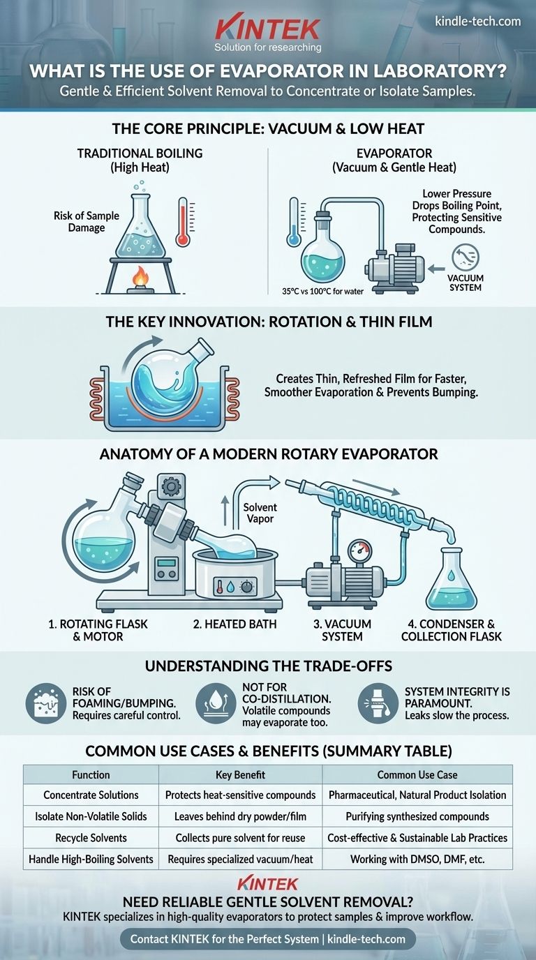 ¿Cuál es el uso del evaporador en el laboratorio? Eliminación suave de solventes para muestras sensibles Guía Visual