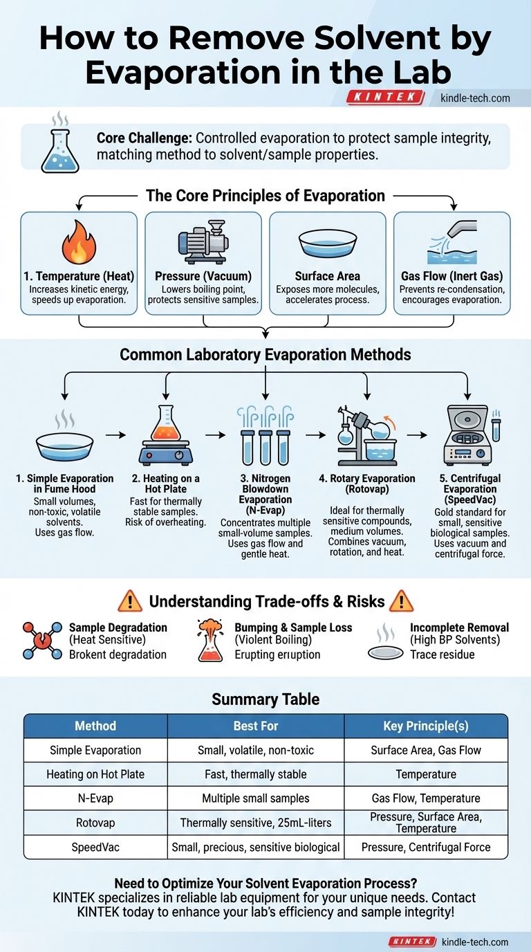 증발을 통해 용매를 제거하는 방법은 무엇입니까? 안전하고 효율적인 샘플 준비를 위한 기술을 숙달하세요 시각적 가이드
