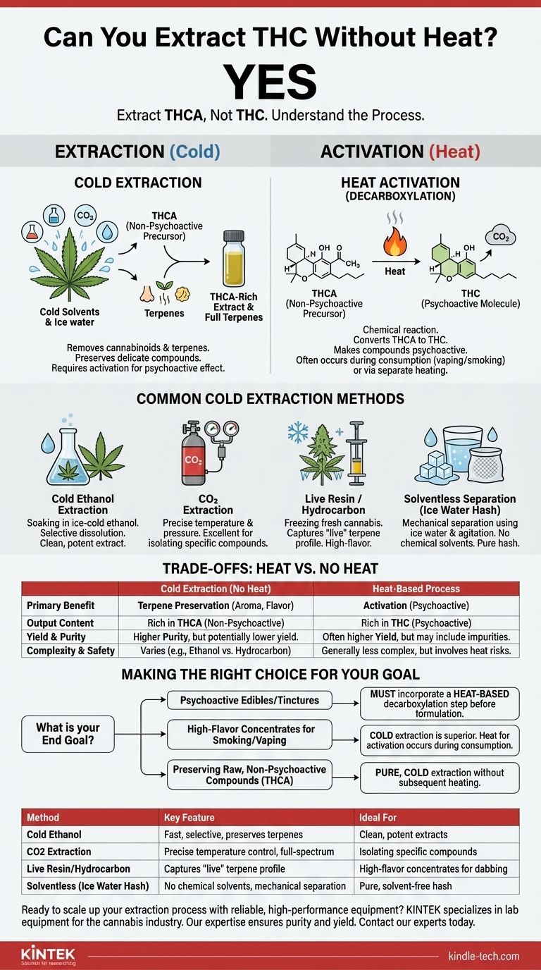 È possibile estrarre il THC senza calore? Sì, ed ecco come preservare i terpeni e la potenza. Guida Visiva