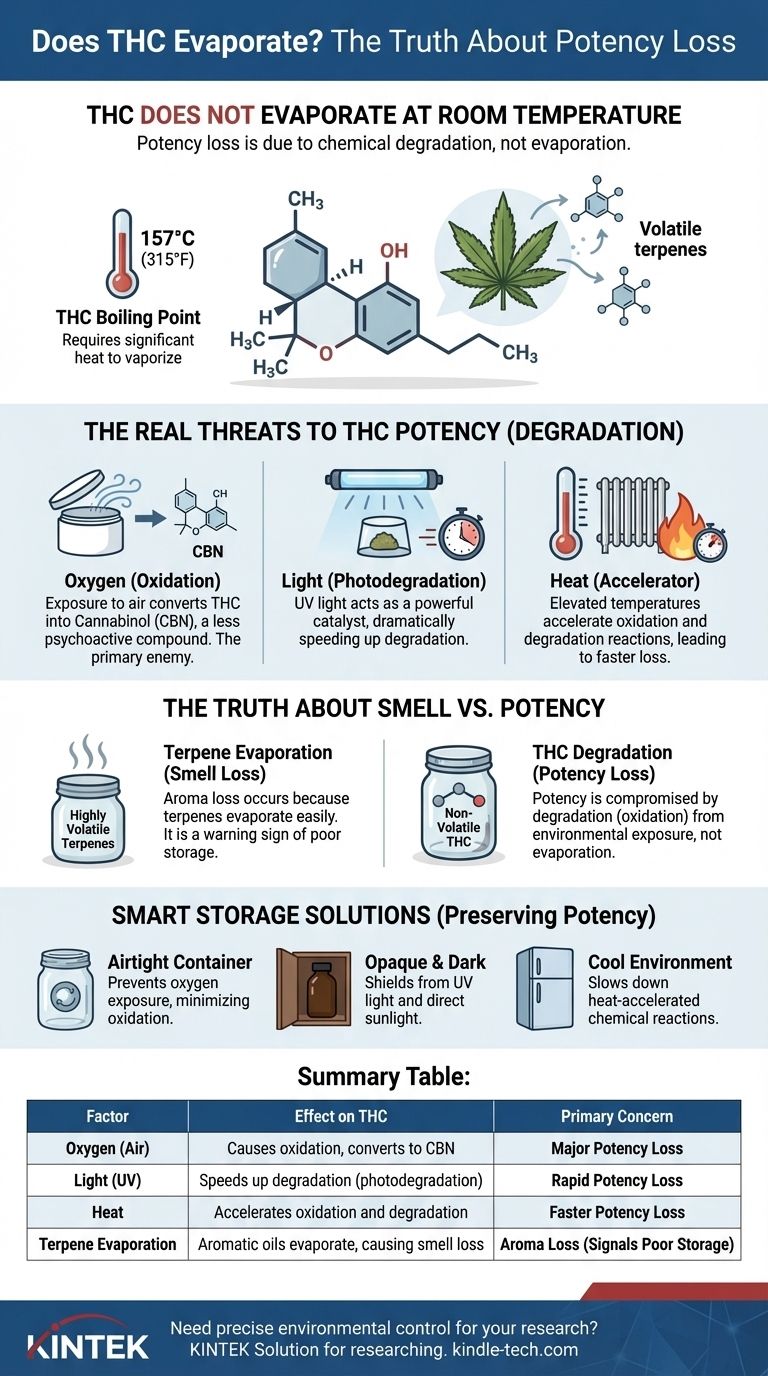 THC는 얼마나 빨리 증발하나요? 효능 손실 뒤에 숨겨진 과학적 사실 시각적 가이드