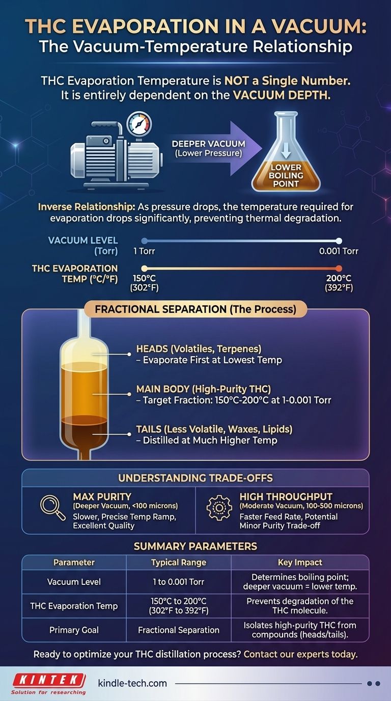 THC在真空中蒸发的温度是多少？掌握蒸馏过程 图解指南