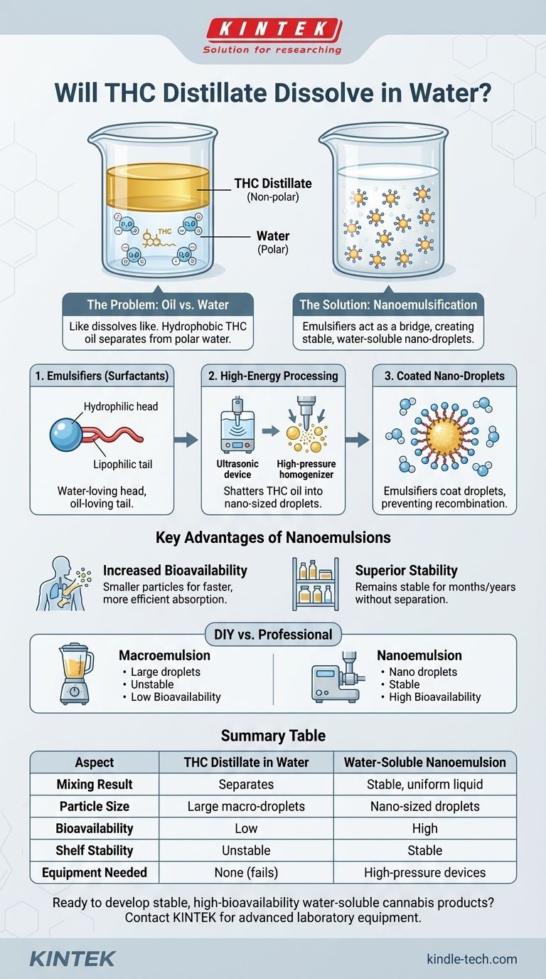 ¿Se disuelve el destilado de THC en agua? Desvelando la ciencia del cannabis hidrosoluble Guía Visual
