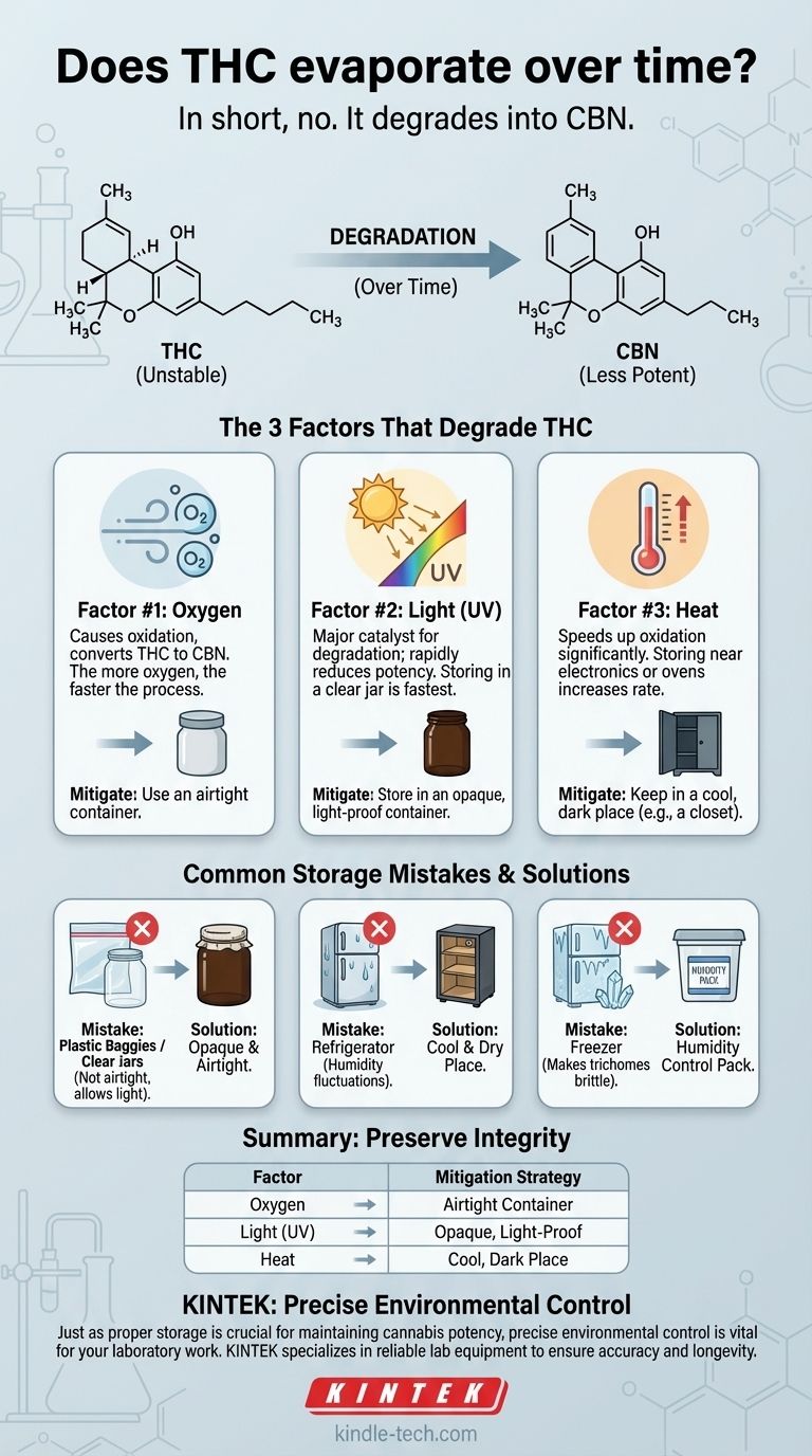 O THC evapora com o tempo? A Verdade Sobre a Perda de Potência e a Preservação Guia Visual