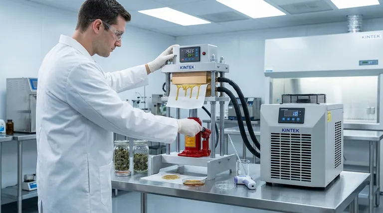 ما هي درجة الحرارة المثلى لاستخلاص رباعي هيدروكانابينول (THC)؟ أتقن فن الموازنة بين العائد والجودة