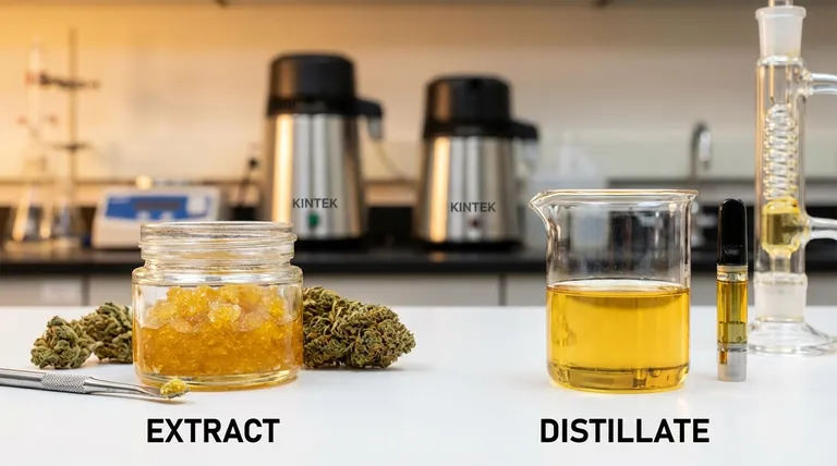 Qual é a diferença entre extrato de THC e destilado? Um Guia para Espectro Completo vs. Potência Pura
