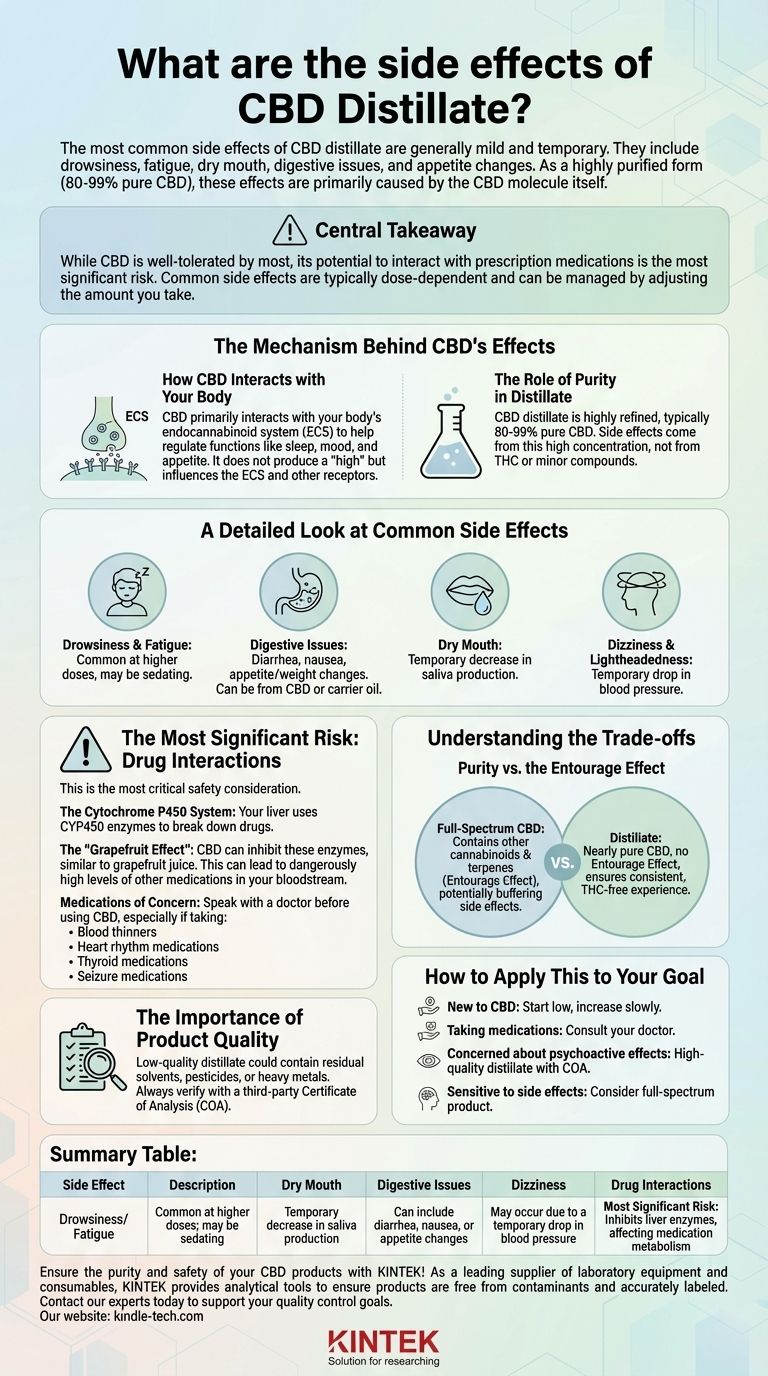 Was sind die Nebenwirkungen von CBD-Destillat? Verständnis milder Effekte und kritischer Risiken Visuelle Anleitung