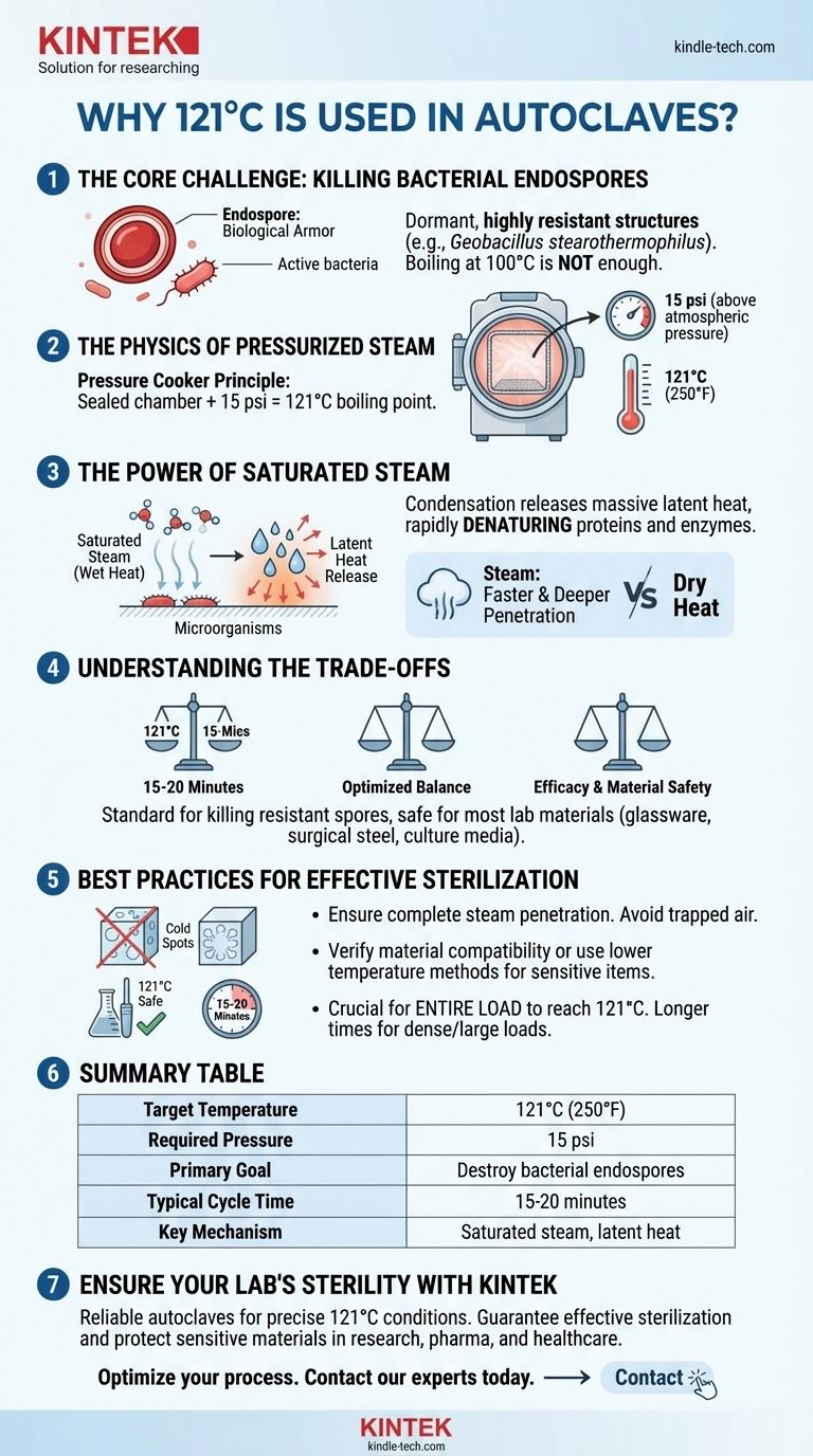 لماذا يتم استخدام 121 درجة مئوية في الأوتوكلاف؟ العلم وراء التعقيم ضد الأبواغ الصعبة دليل مرئي