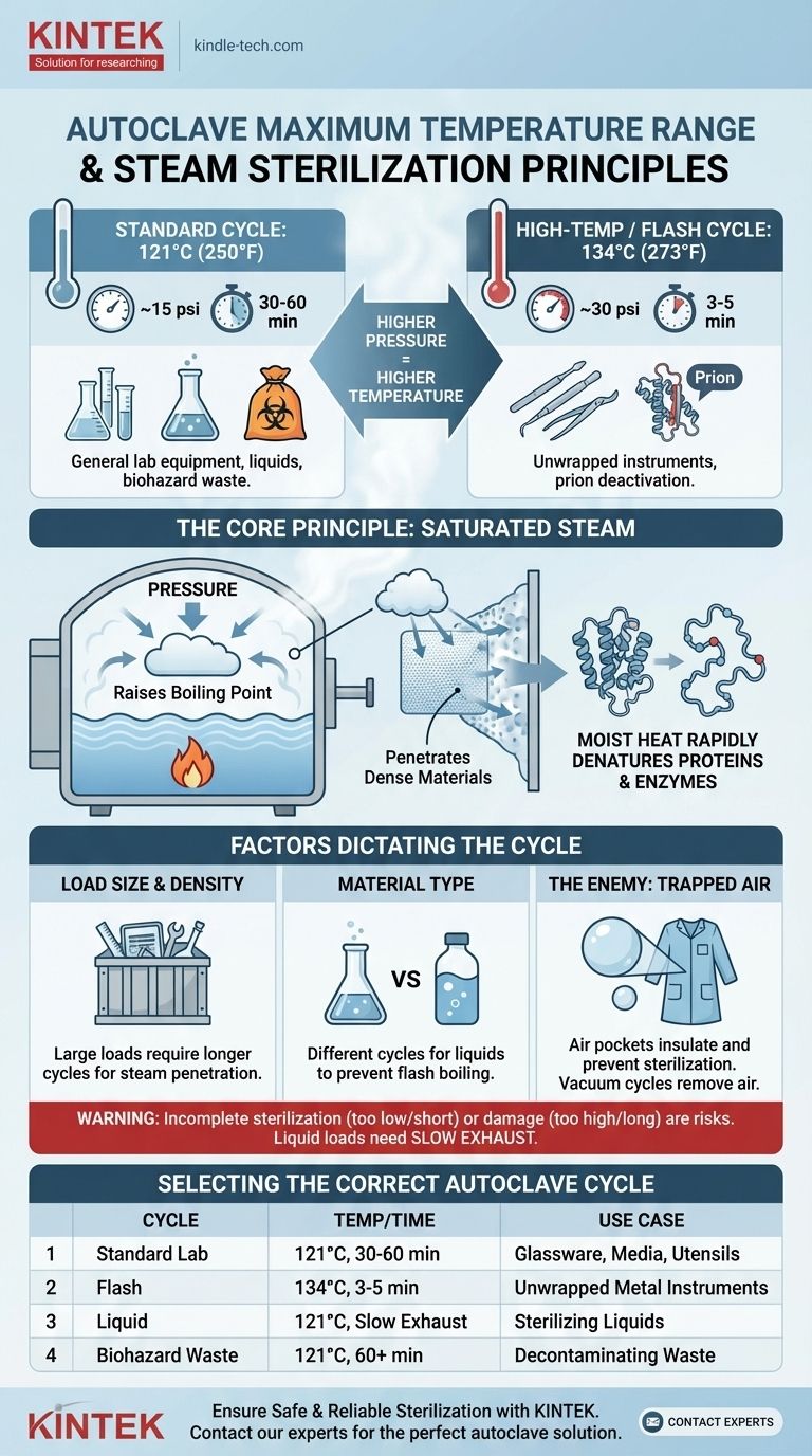 高压灭菌锅的最大温度范围是多少？确保灭菌效果 图解指南