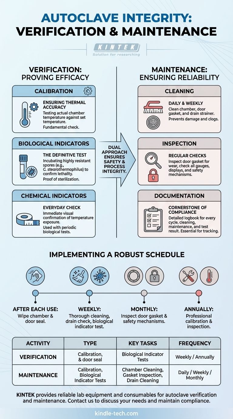 Comment les autoclaves sont-ils vérifiés et entretenus ? Assurer la sécurité et la conformité de la stérilisation Guide Visuel