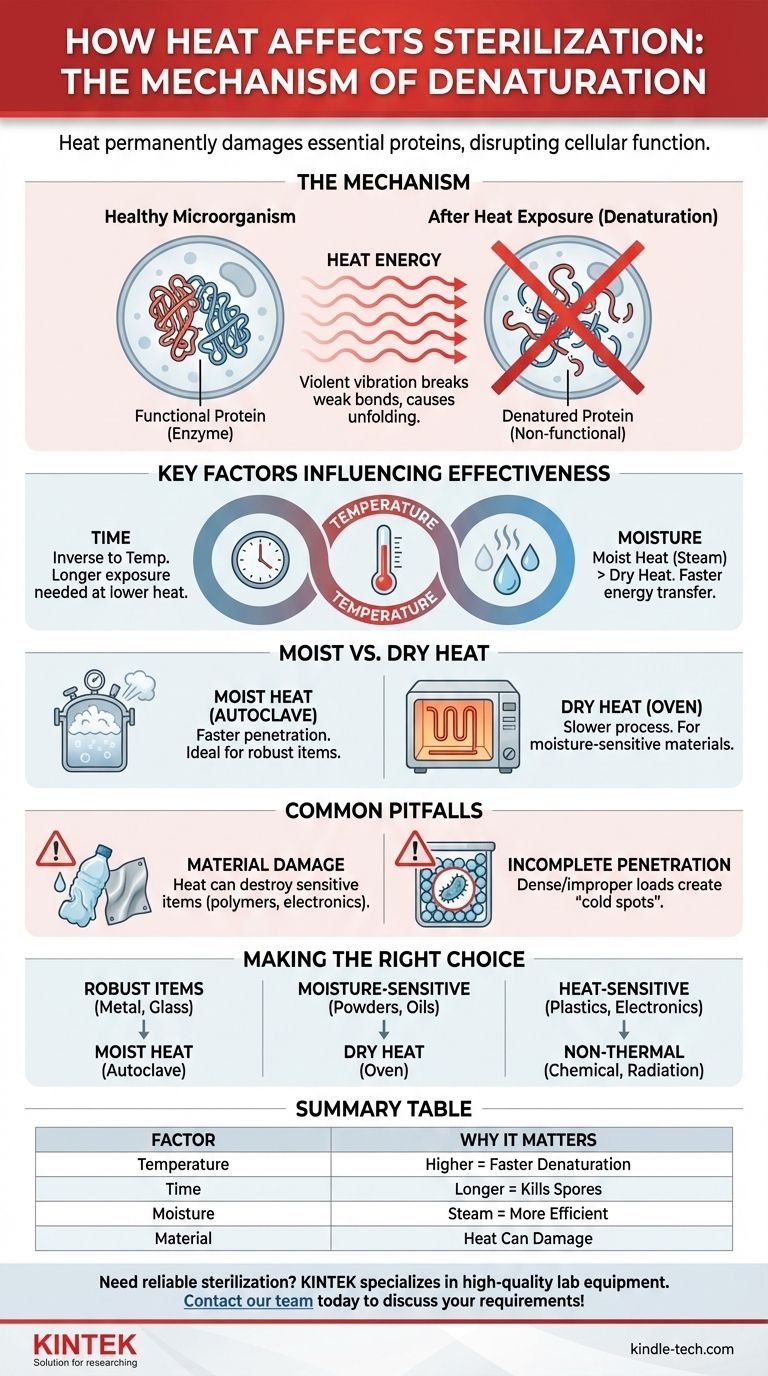 In che modo la temperatura influisce sulla sterilizzazione? Svela la scienza della distruzione microbica basata sul calore Guida Visiva