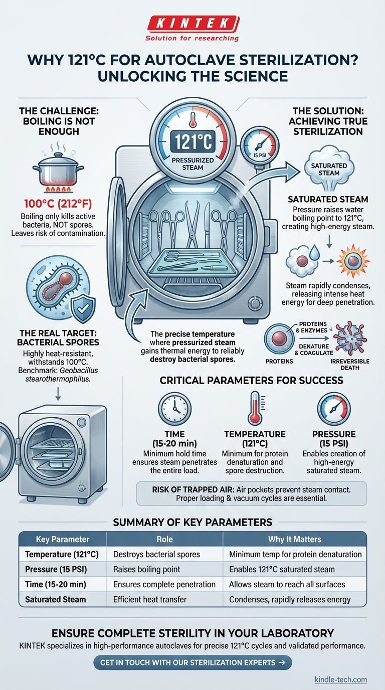 Почему автоклав устанавливается на 121°C для стерилизации? Наука, стоящая за гарантированной стерильностью Визуальное руководство