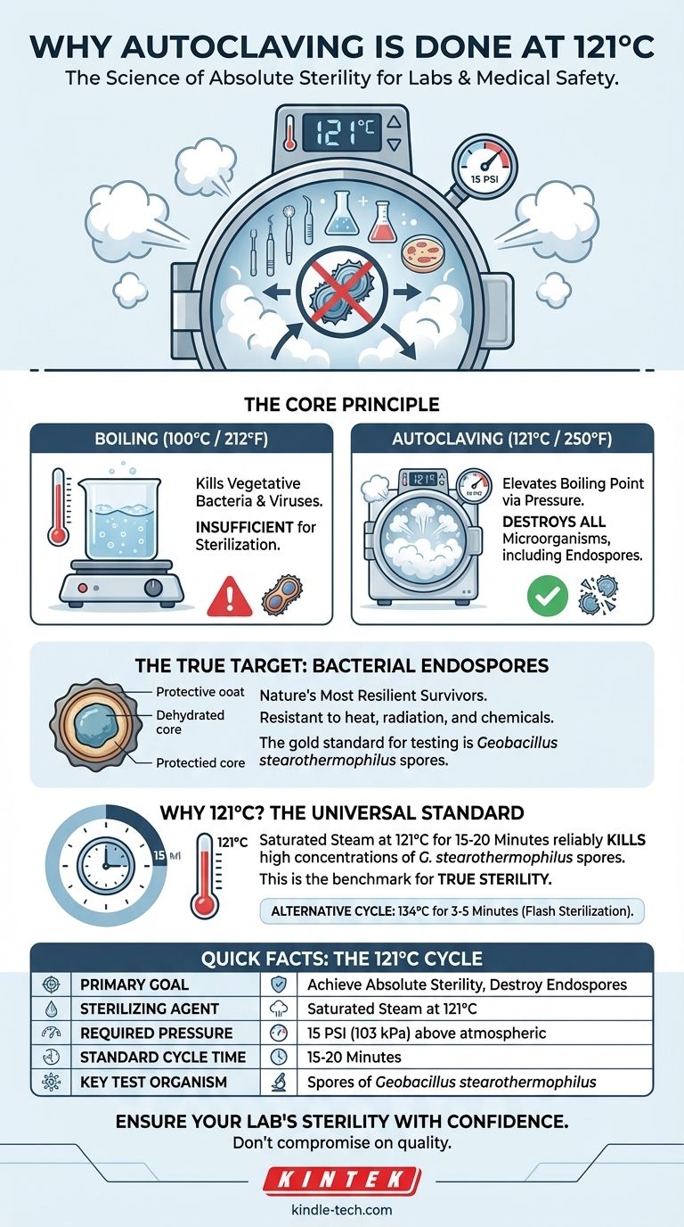 为什么高压灭菌的温度是 121°C？通过破坏耐受性孢子实现绝对无菌 图解指南