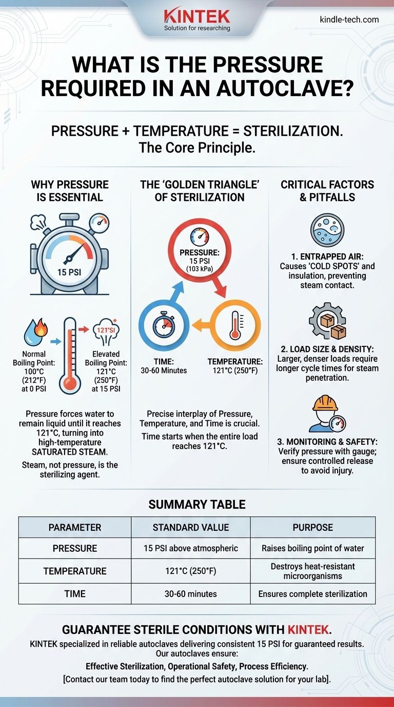 Quelle est la pression requise dans un autoclave ? Obtenez des résultats stériles avec 15 PSI Guide Visuel